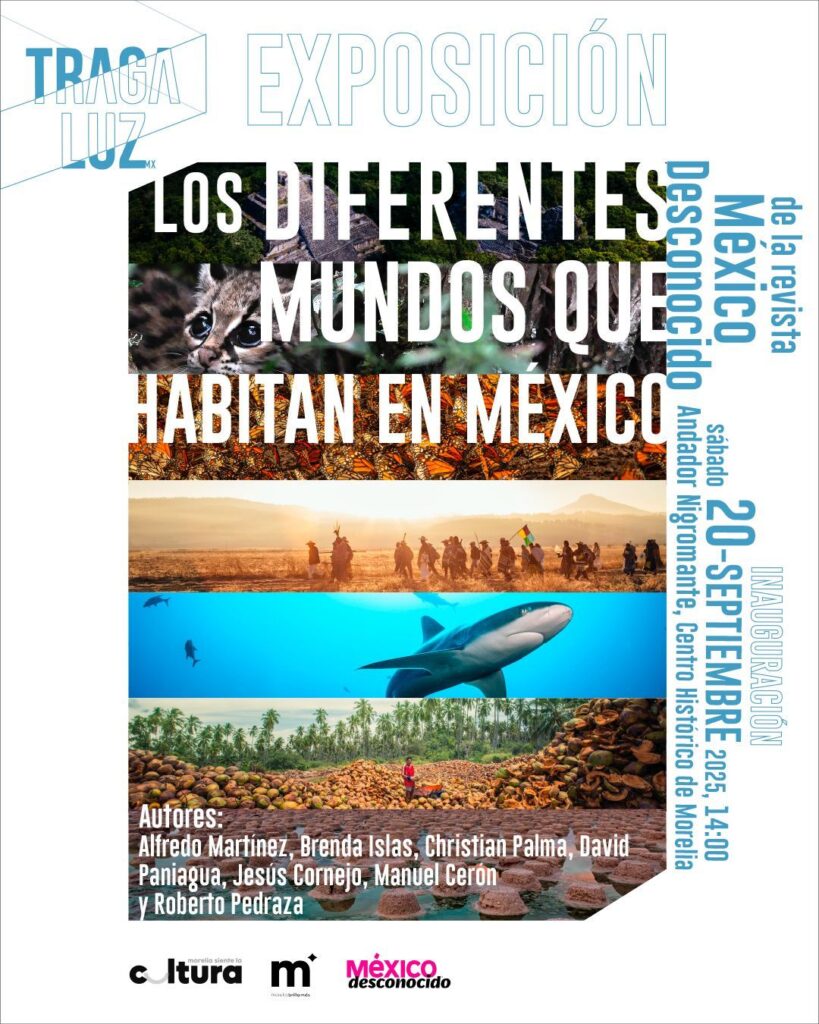 WhatsApp Image 2025-09-10 at 3.19.48 PM (1)