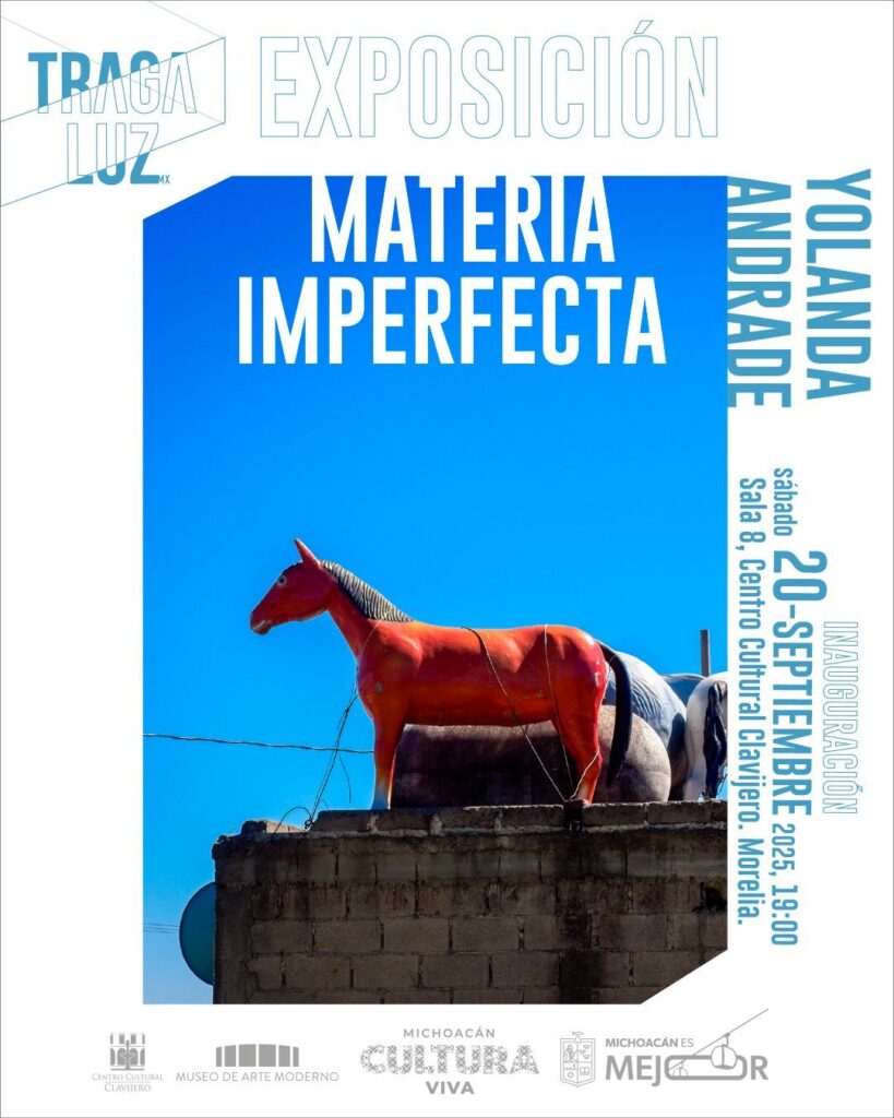 WhatsApp Image 2025-09-10 at 3.19.48 PM